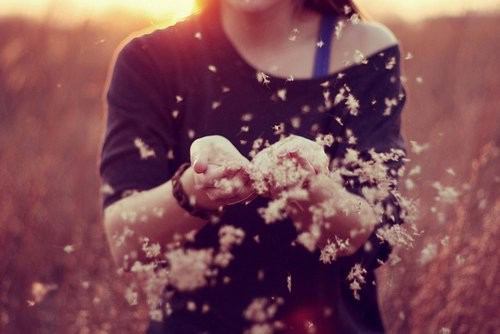 コイスルカラダ27日